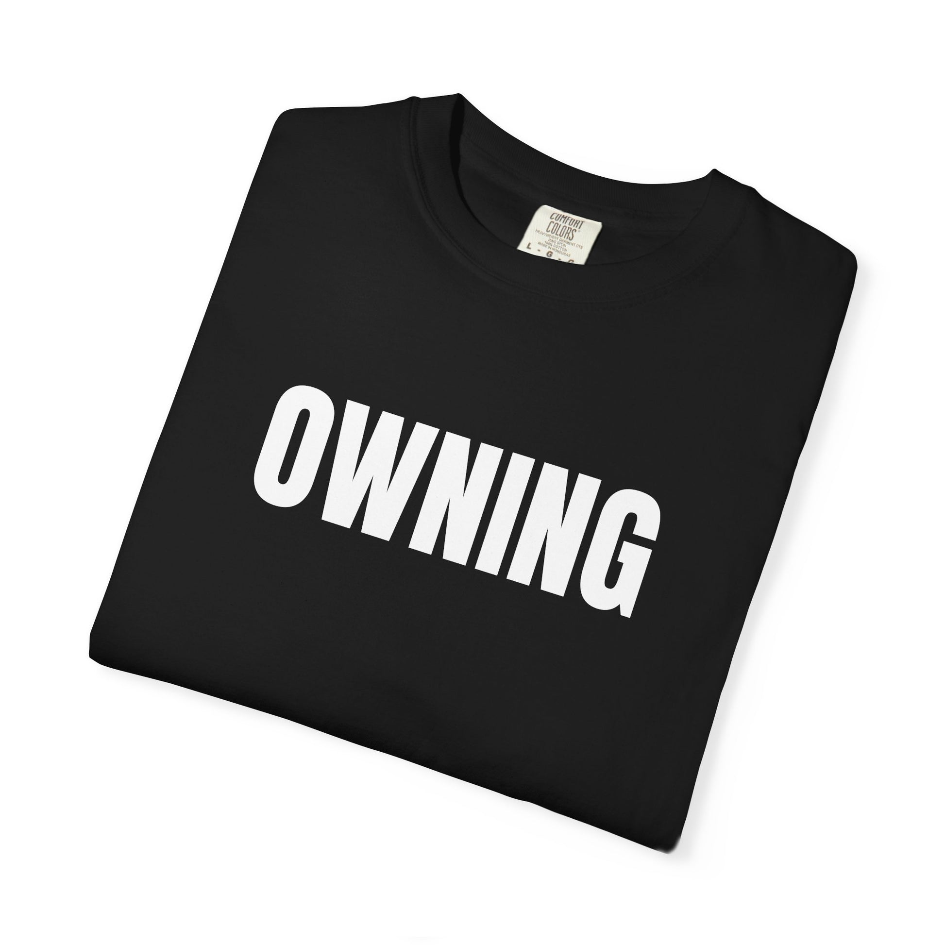 Owning T-Shirt – Motivational Graphic Tee for Men & Women, Unisex Shirt, Graphic Tee, Statement Shirt