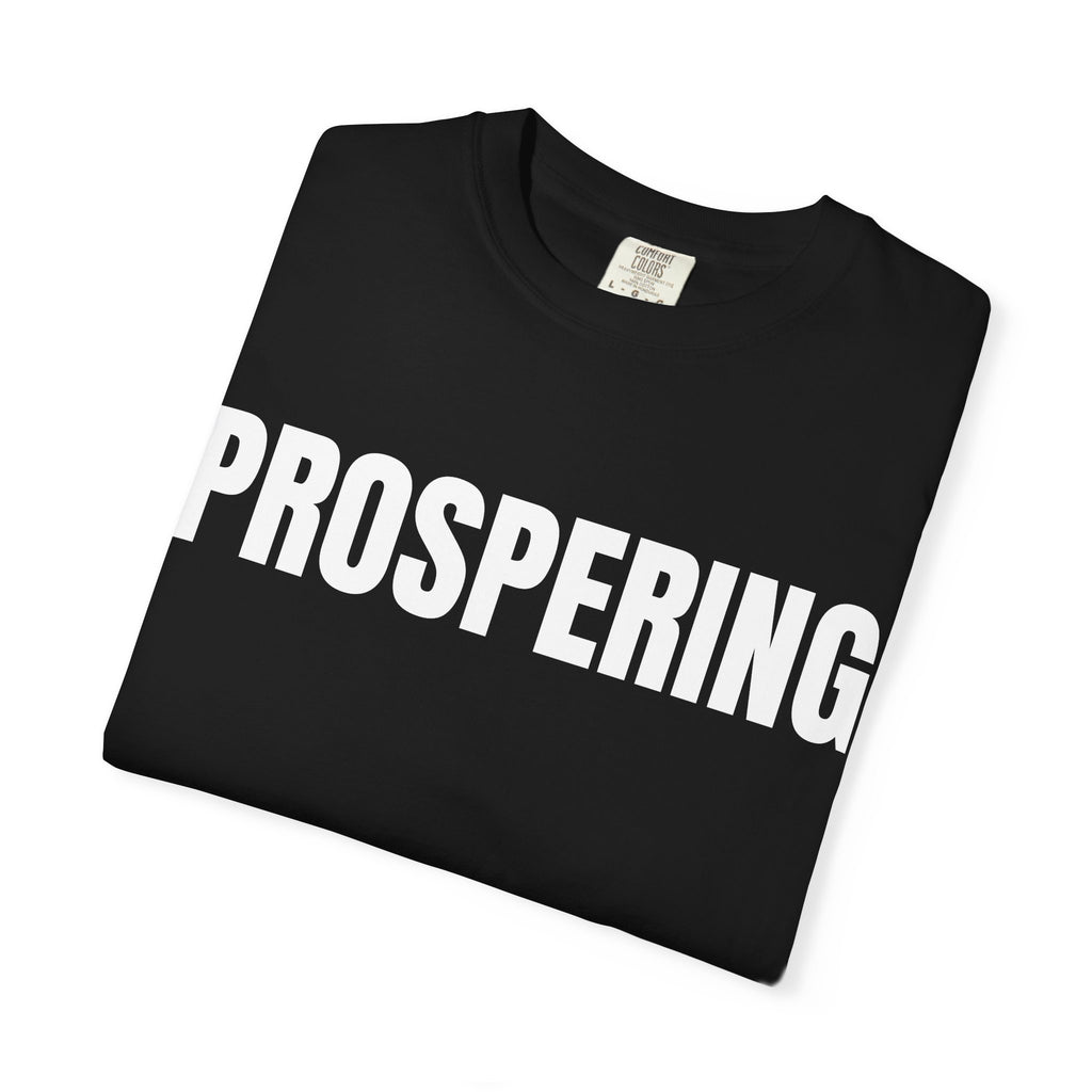 Prospering T-Shirt – Motivational Graphic Tee for Men & Women, Unisex Shirt, Graphic Tee, Statement Shirt
