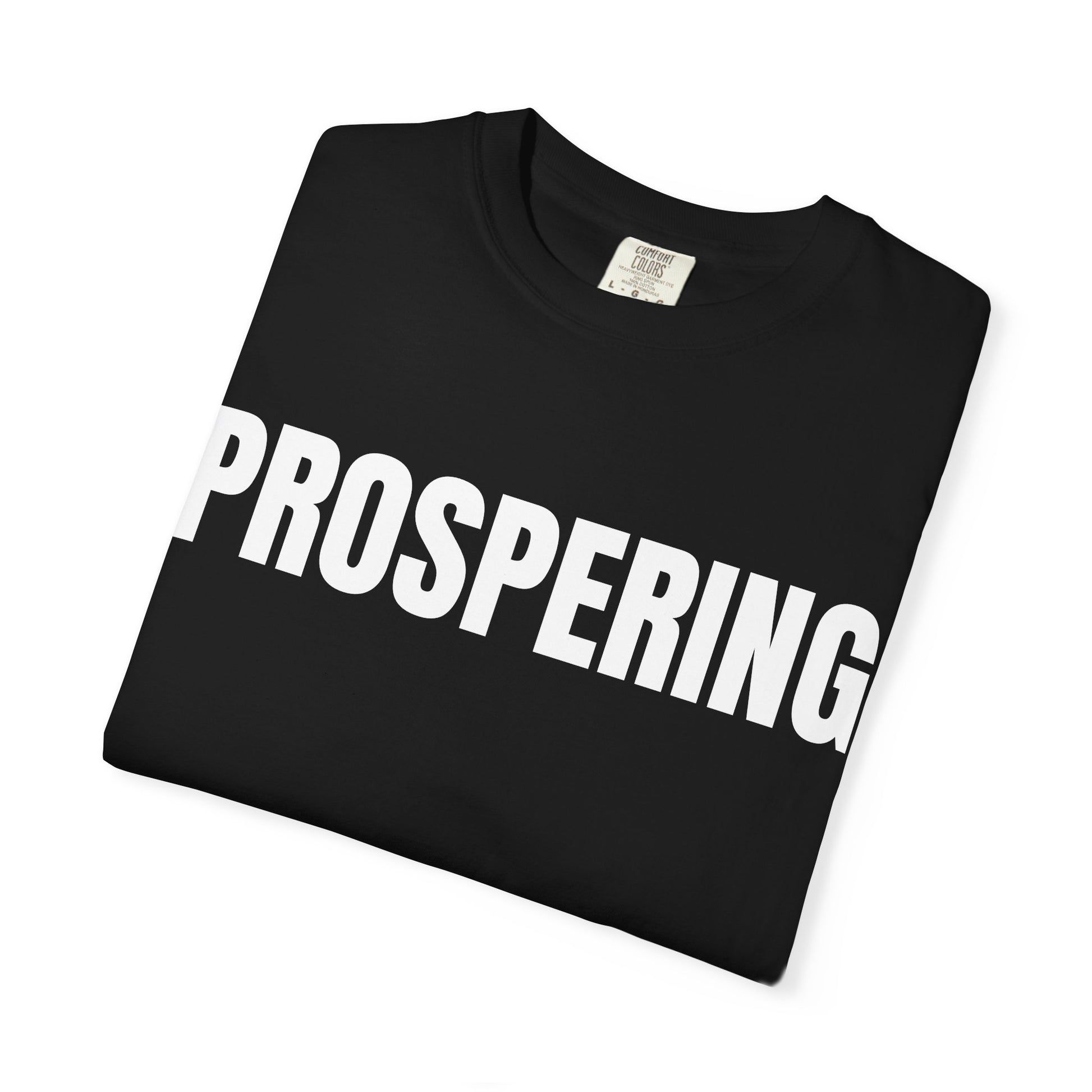 Prospering T-Shirt – Motivational Graphic Tee for Men & Women, Unisex Shirt, Graphic Tee, Statement Shirt